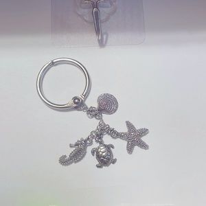 Nautical themed key ring